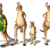 Toon Kangaroo - Image 6