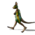 Toon Kangaroo - Image 4